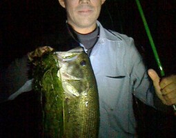 琵琶湖釣果速報！！夜釣り編です（＞＜。）　（茨木店）